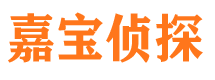 城固私家调查公司